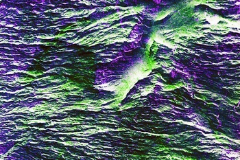 AP 65C1